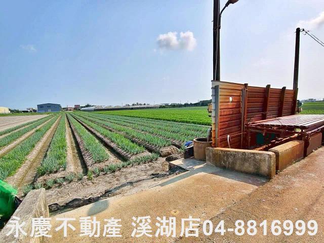 彰化埔鹽農地-11