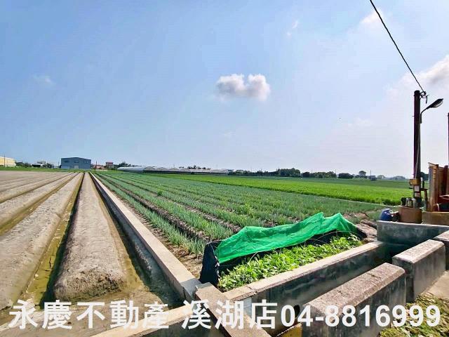 彰化埔鹽農地-13
