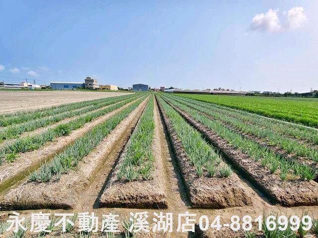 彰化埔鹽農地-4