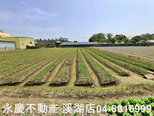 埔鹽農地-3