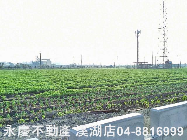 芳苑農地-10