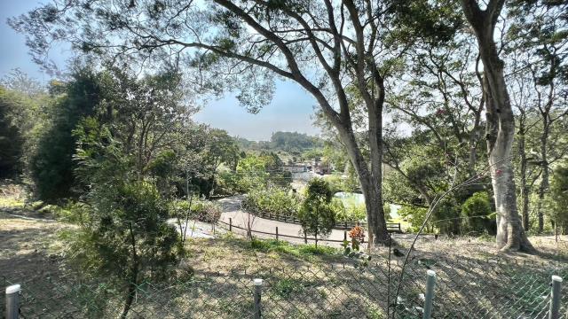 北埔農地_山坡地-15