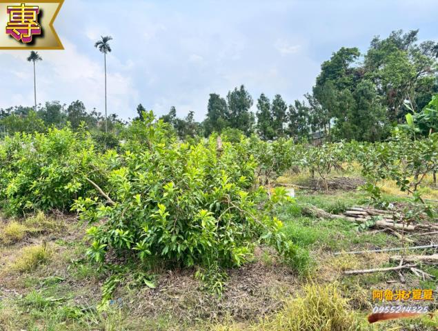 嘉義農地-4