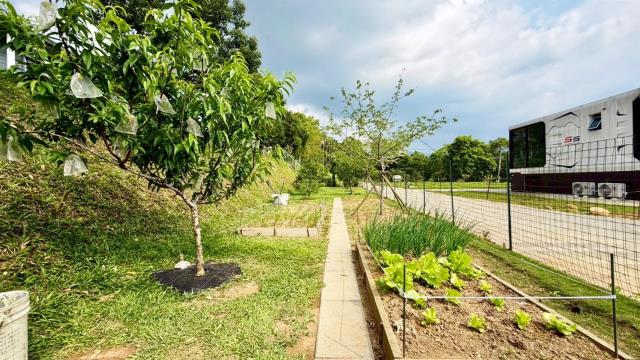 新竹關西農地-5