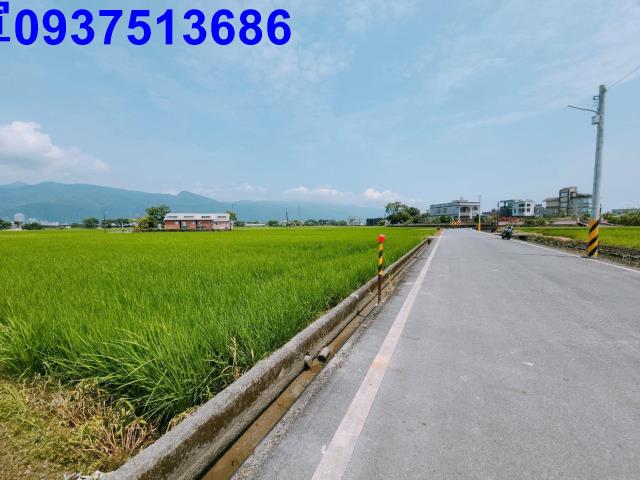 宜蘭礁溪農地-12