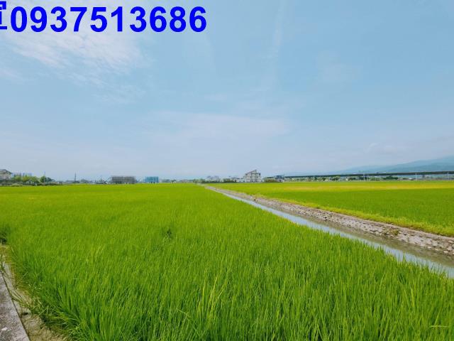 宜蘭礁溪農地-3