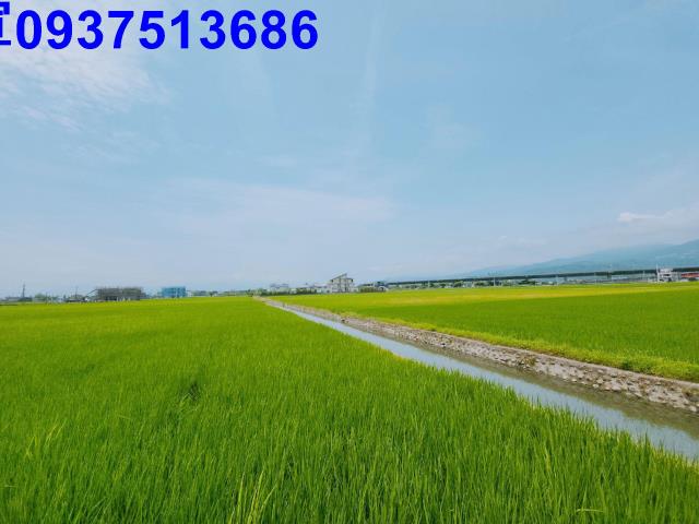 宜蘭礁溪農地-5