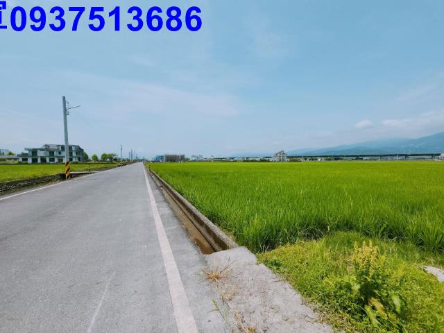 宜蘭礁溪農地-9