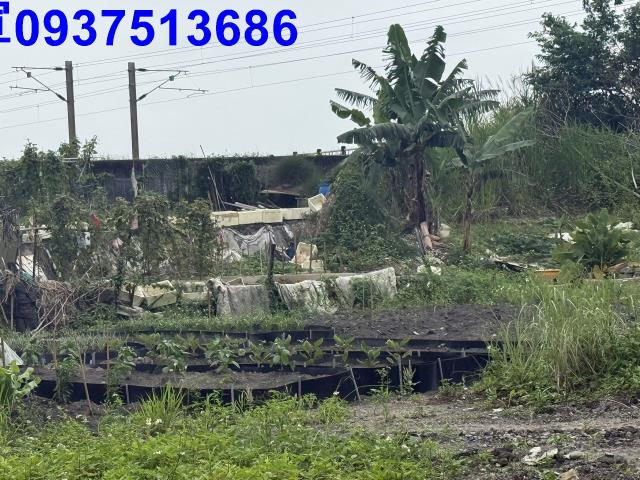 宜蘭宜蘭市公園用地-12