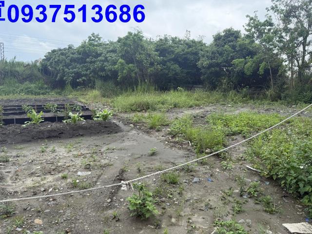 宜蘭宜蘭市公園用地-6