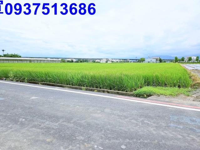 宜蘭壯圍農地-15