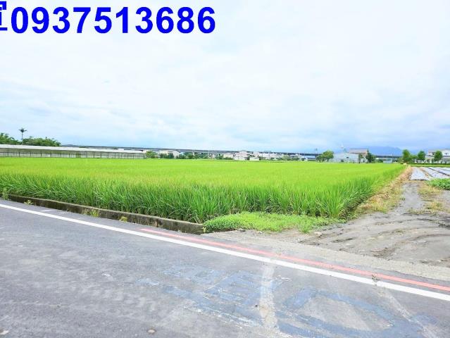 宜蘭壯圍農地-3