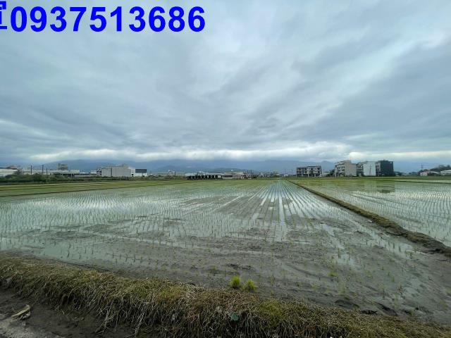 宜蘭宜蘭市農地-3