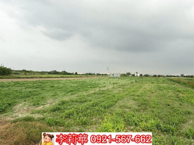 安定農地-5