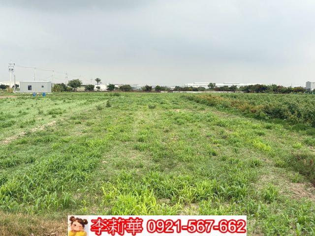 安定農地-6