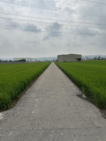 龍井農地法拍-6
