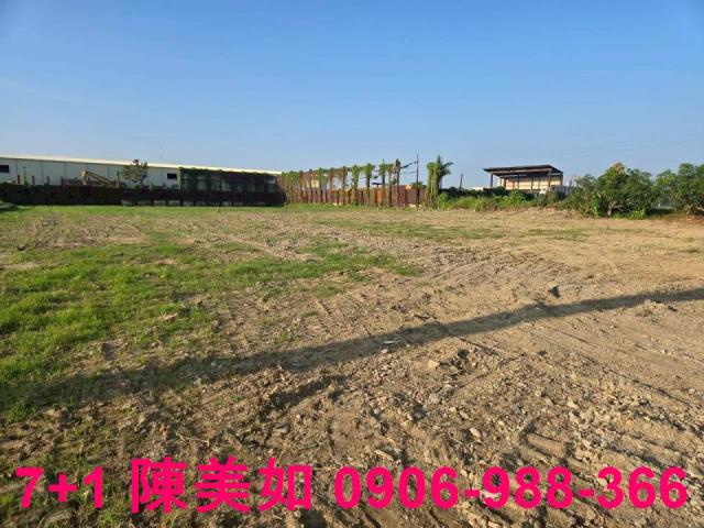 大社漂亮農地出售