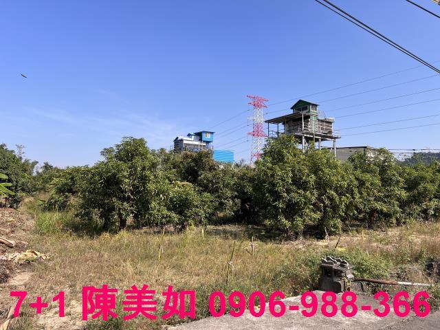 大社漂亮農地