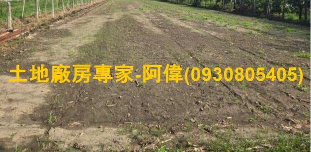 高雄農地-1