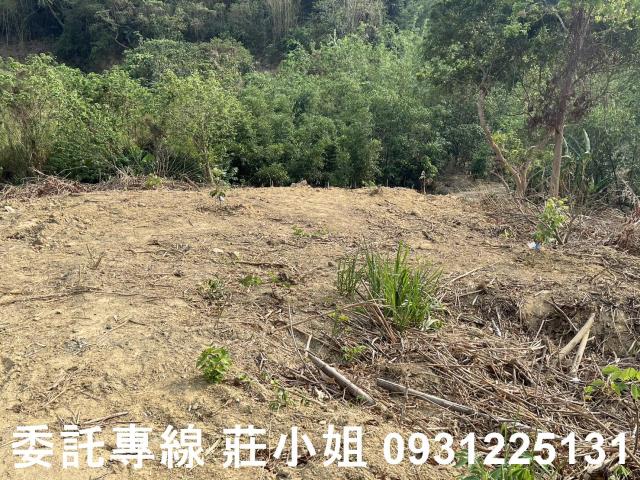 台南新化農地-11