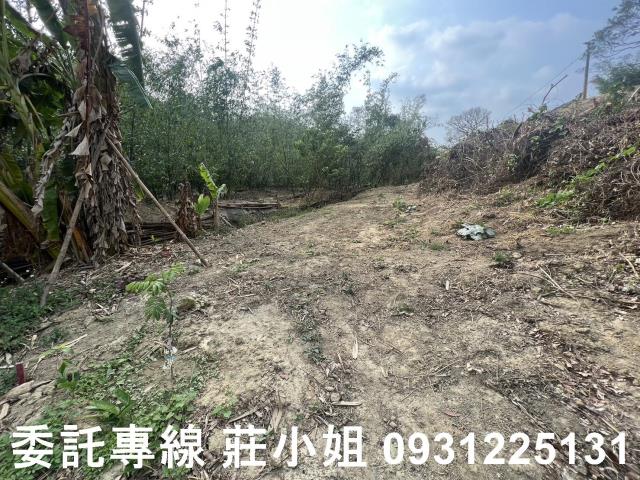 台南新化農地-12