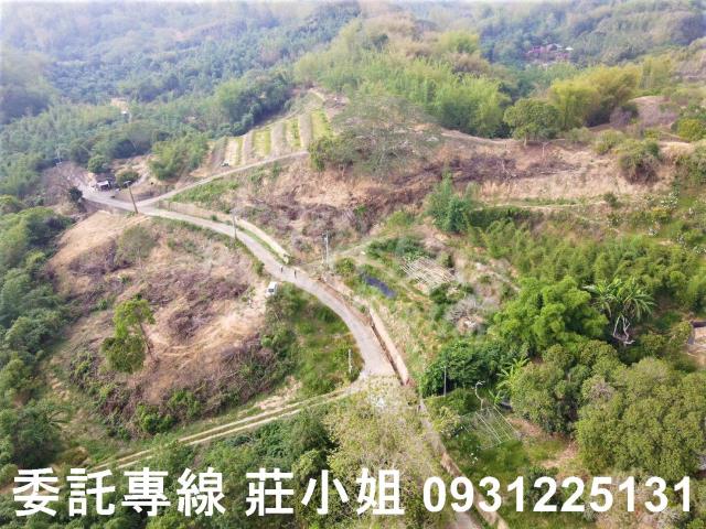 台南新化農地-1