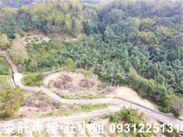 台南新化農地-2