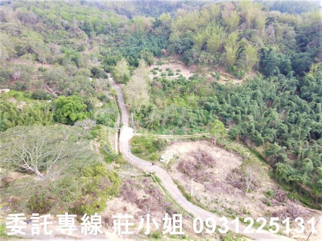 台南新化農地-3