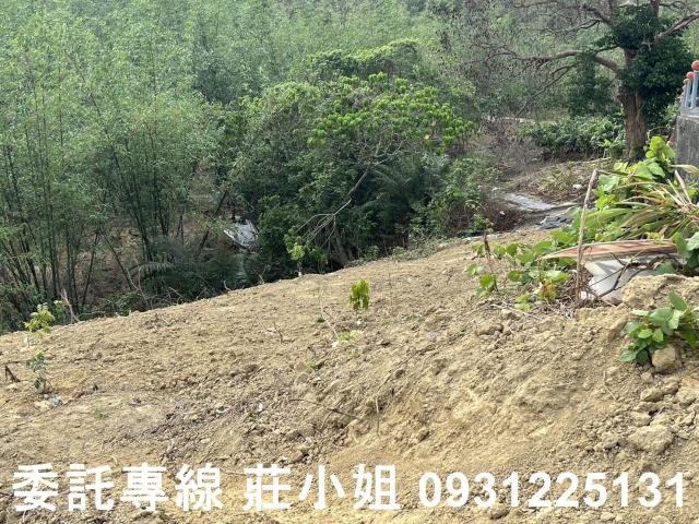 台南新化農地-8