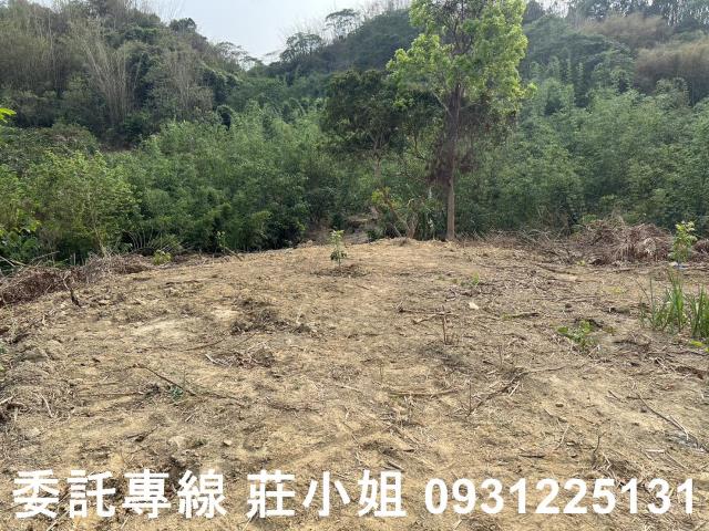 台南新化農地-9