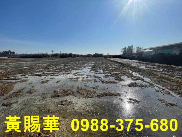 桃園新屋農地-7