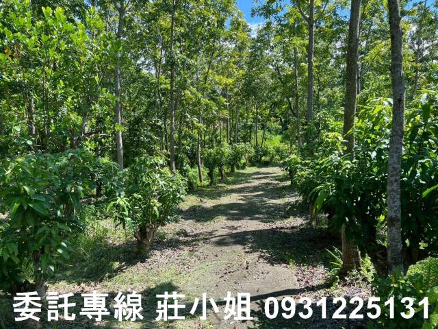 台南南化農地-11