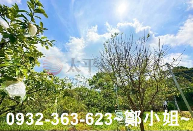 桃園復興農地-10