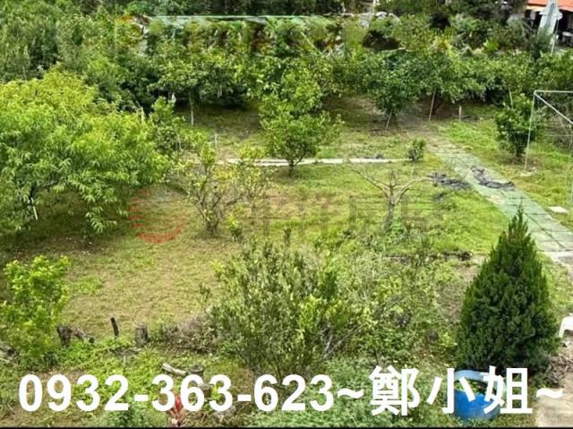 桃園復興農地-12