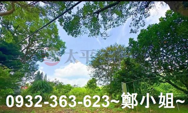 桃園復興農地-13