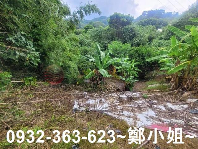 桃園復興農地-4