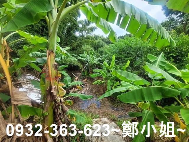 桃園復興農地-5