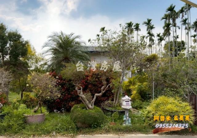 嘉義番路農地-3