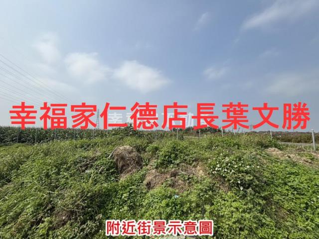 台南鹽水農地-3