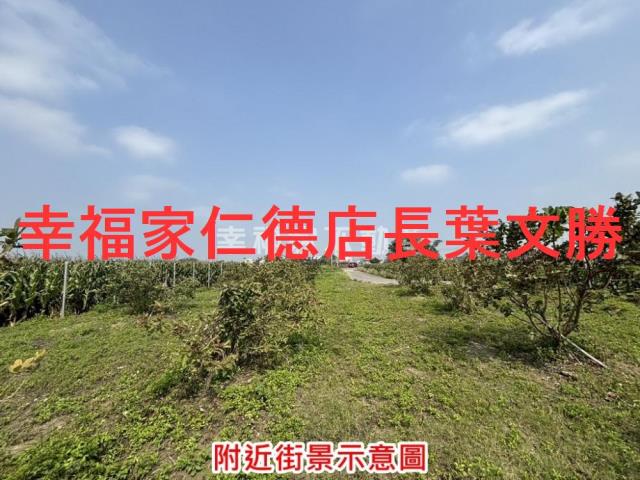 台南鹽水農地-8