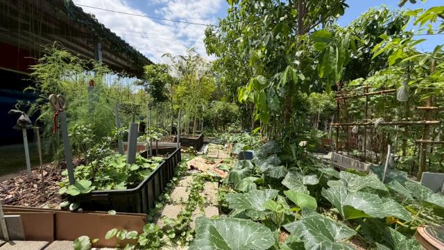 新竹寶山山坡地-12