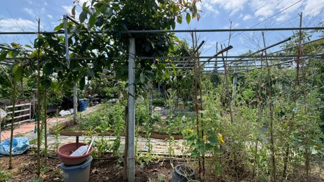 新竹寶山山坡地-13