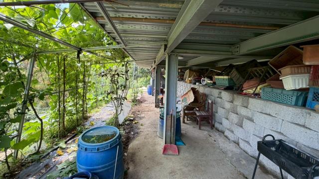 新竹寶山山坡地-15