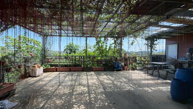 新竹寶山山坡地-8