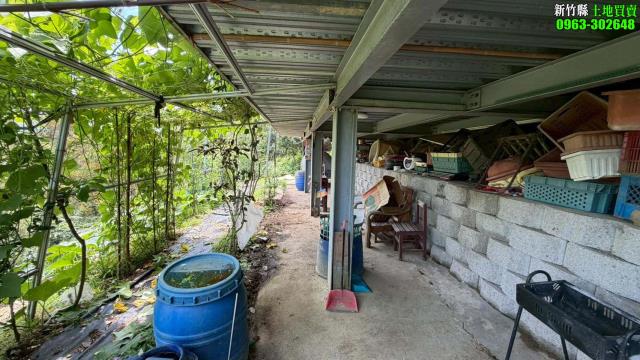 新竹寶山林地-3