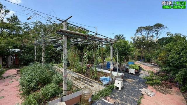 新竹寶山林地-4