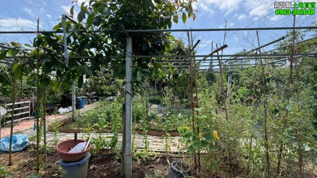 新竹寶山林地-5