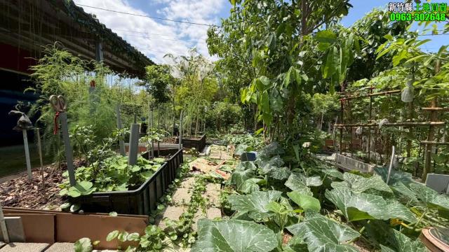 新竹寶山林地-6