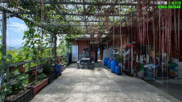 新竹寶山林地-7