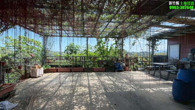 新竹寶山林地-8